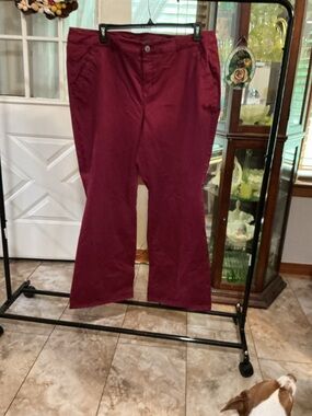 Lane Bryant Burgundy Chinos